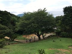 -岚山猴子公园