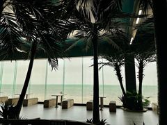 -北海金海湾红树林生态旅游区