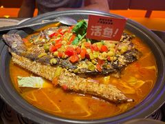 -鱼上·烤鱼(和安宁春城店)