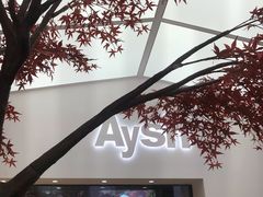 -艾薯夫妇Aysh(福田星河COCOPark店)