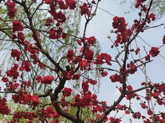 -元大都城垣遗址公园