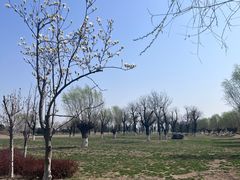 -汉长安城未央宫国家考古遗址公园