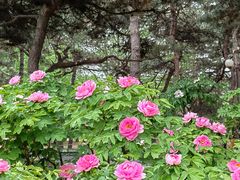 -国家植物园南园