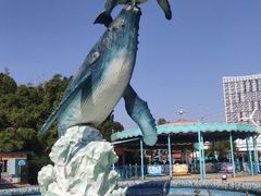-海合安武汉极地海洋公园