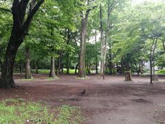 -三鹰之森吉卜力美术馆