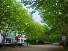 -东华大学(松江校区)