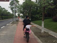 -上海崇明金茂凯悦酒店