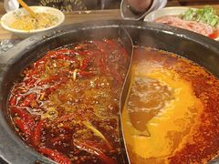 -蜀大侠火锅(总府路店)