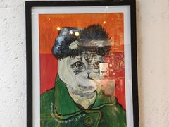 -喵屿·大理花园猫咖