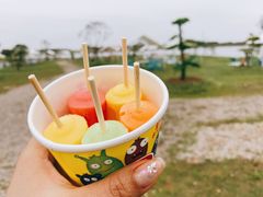 -梁子湖东篱老屋生态庄园