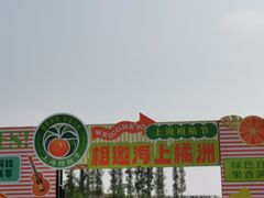-上海长兴岛郊野公园