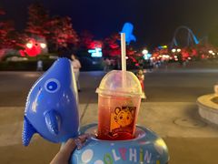 -珠海长隆海洋王国