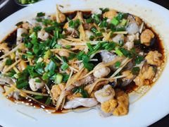 -先鲜鲫鱼粥