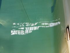 -二十一世纪饭店-游泳馆