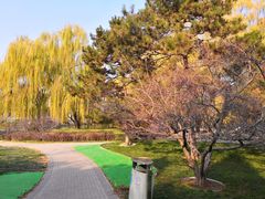 -玲珑塔公园