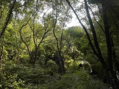 -泽雅景区