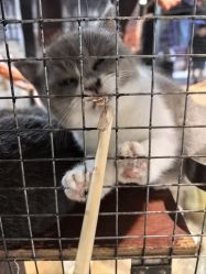 -酷嗒动物文化乐园(cutezoo西溪乐天城店)