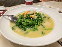 上汤白苋菜-京华烟云·北京烤鸭(领展购物广场·中关村店)