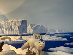 -陕西自然博物馆