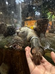 -Zoolung Zoolung动物主题公园(海信广场店)