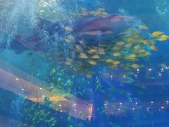 -成都浩海立方海洋公园