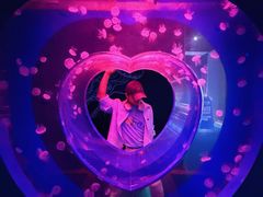 -海合安武汉极地海洋公园