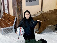 -世界之窗阿尔卑斯冰雪世界