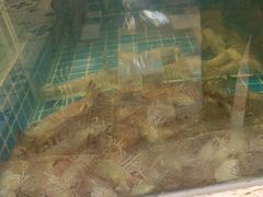 -妈妈菜舟山海鲜(定海古城店)