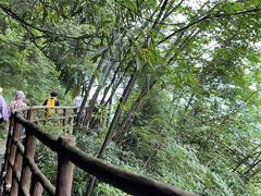 -鹿院坪生态旅游景区