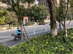 -运河游船(武林门码头)