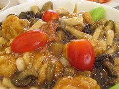 油面筋……菌类……番茄-兴圆苑