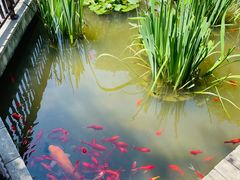 -聚缘堂·海鲜私房菜(松岭路店)