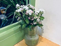 -大青树咖啡(大理古城店)