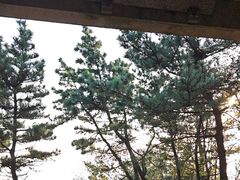 -虞山风景区
