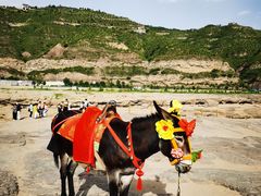 -陕西黄河壶口瀑布旅游区