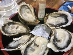 -大富蚝乌东哥饭店·石锅鱼杂·柠檬鸭(革新路店)