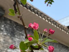 -海棠花溪(元大都城垣遗址公园)
