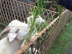 -太阳岛度假酒店