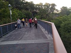 -金鸡山公园