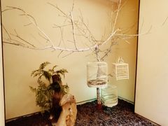 -小厨娘淮扬菜(诚信大道店)