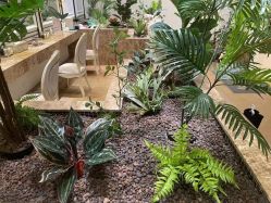 点击看大图 -贝黎诗SPA