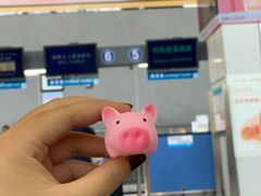-深圳机场码头