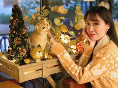 -咖法森林·咖啡  酒吧(天河店)