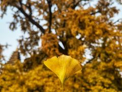 -北京石刻艺术博物馆(五塔寺)