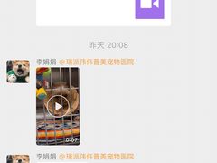 -伟伟宠物医院·CT影像中心·瑞派犬猫综合性门诊(汉口总院)