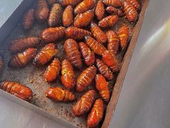 -老三李村河底戳子肉(总店)