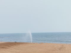 -阳光海岸露营公园