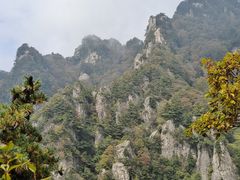 -王顺山国家森林公园