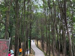 -火炉山森林公园