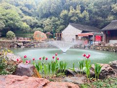 -宁波市保国寺古建筑博物馆